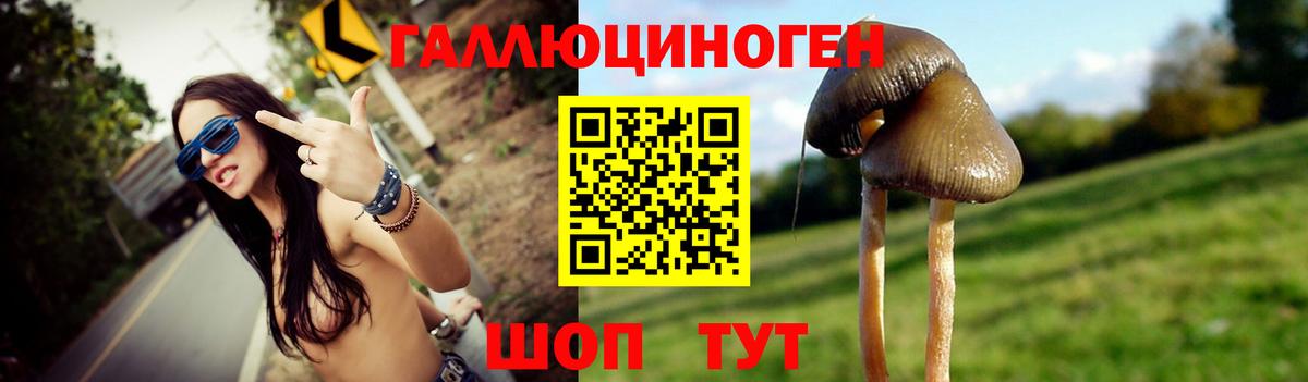 Псилоцибиновые грибы Psilocybe Кимовск